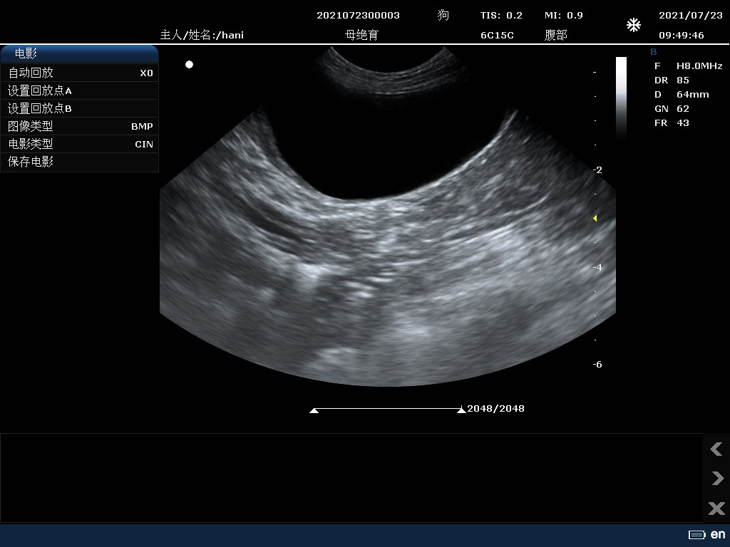 Animal Bladder B-mode