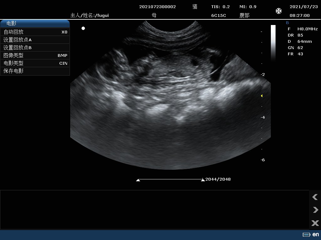 Animal Pregnancy Check B-mode