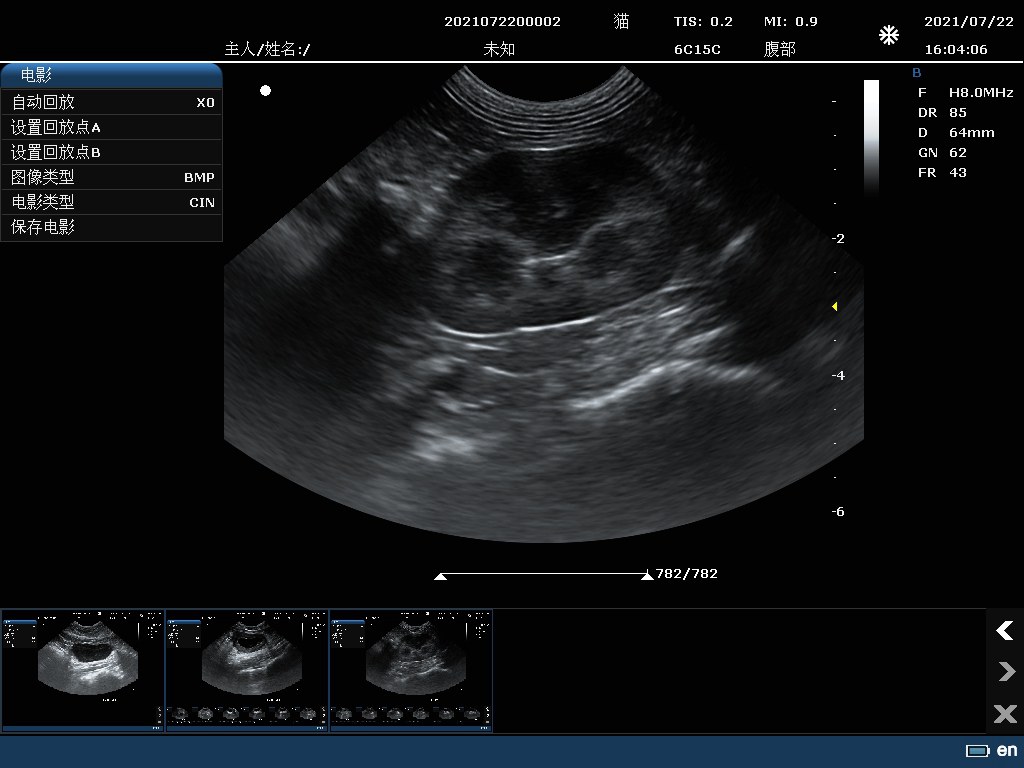 Animal Kidney B-mode