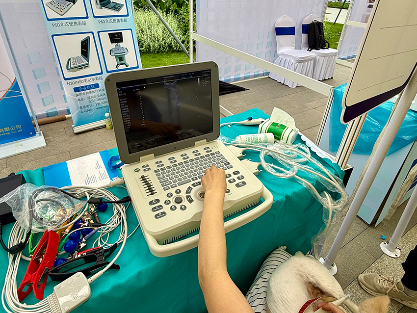 Veterinary Application