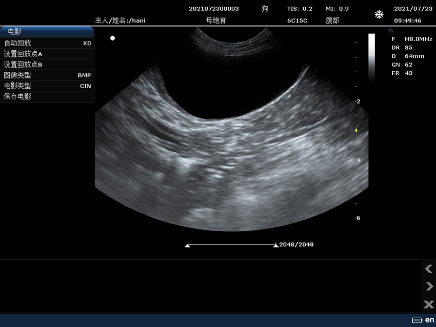 Urology